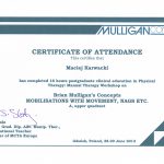 Fizjoterapeuta-Maciej-2013.06.29-Mulligan-A