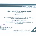 Fizjoterapeuta-Maciej-2013.06.29-Mulligan-B