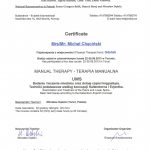 Fizjoterapeuta-Michal-2013.08.25-UWS_terapia_manualna